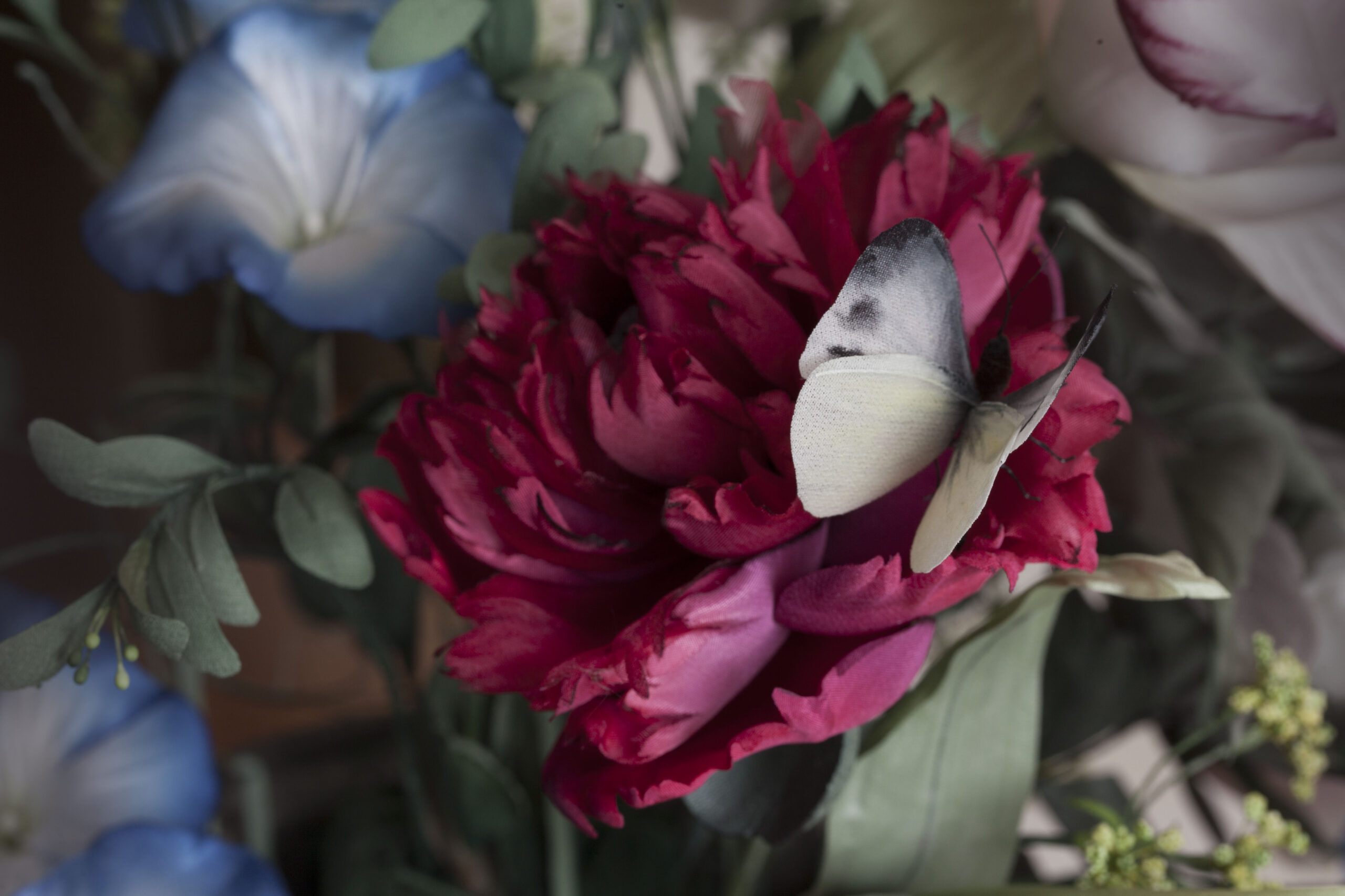 Double poppy with butterfly