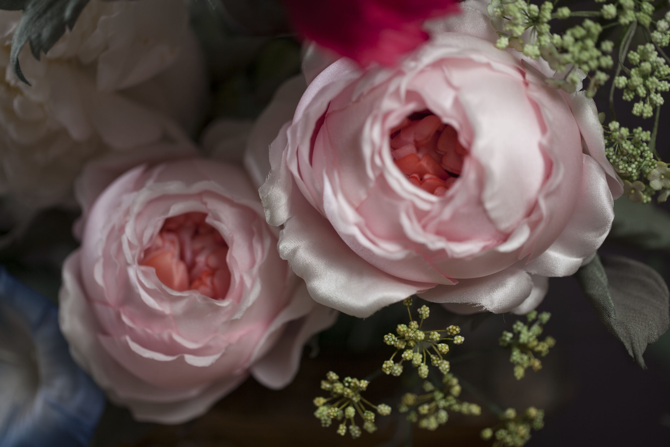 English roses