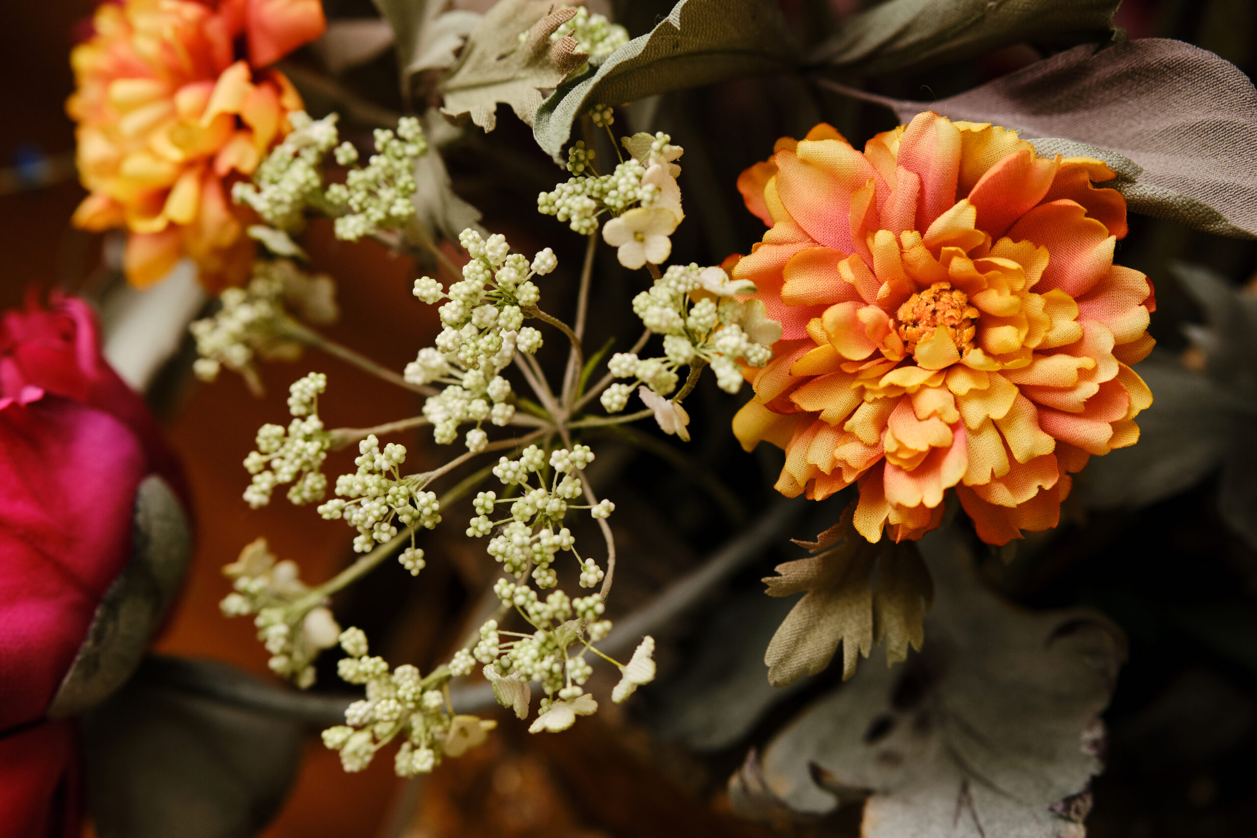 Marigolds and wild carrot