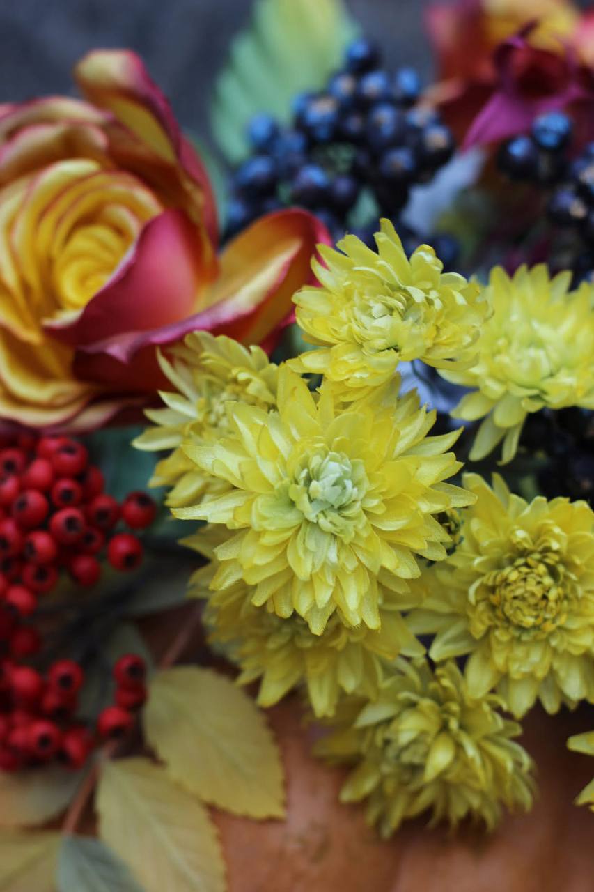 Miniature chrysanthemum