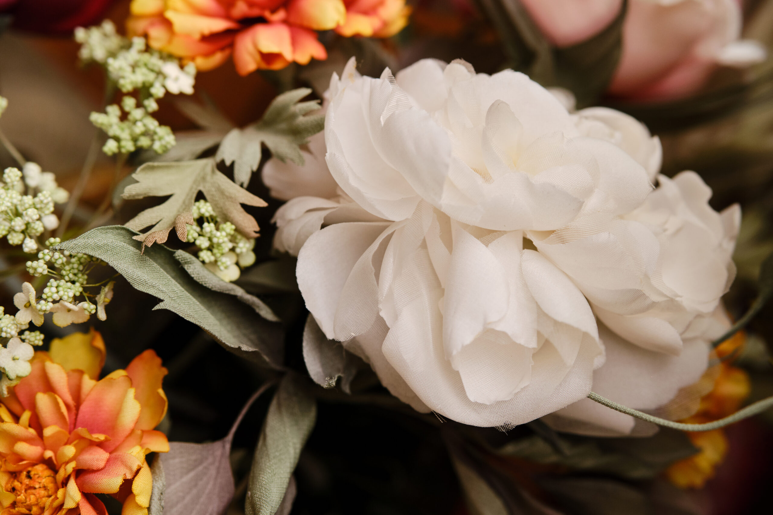 White tea rose