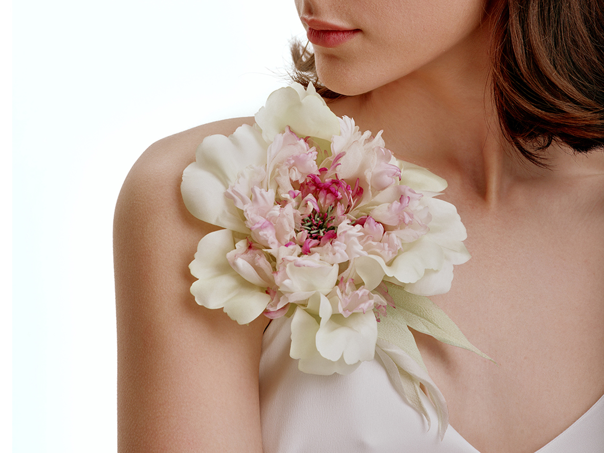 Pastel silk peony
